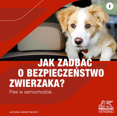 MZM PROFI Marek Zieliński ekspert kredytowy | Kredyt hipoteczny| gotówkowy| firmowy| ubezpieczenia na życie